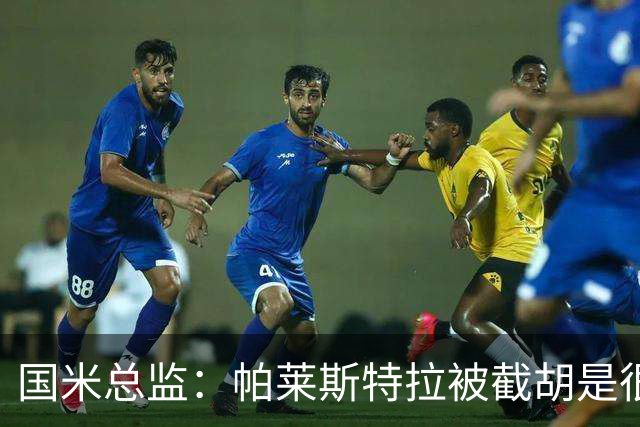 国米总监：帕莱斯特拉被截胡是很正常的事 我们与英超有经济差距